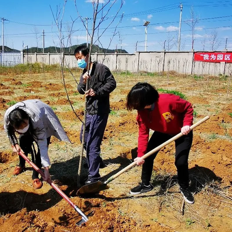 3月12日植樹(shù)節(jié)：讓綠色理念生根發(fā)芽！